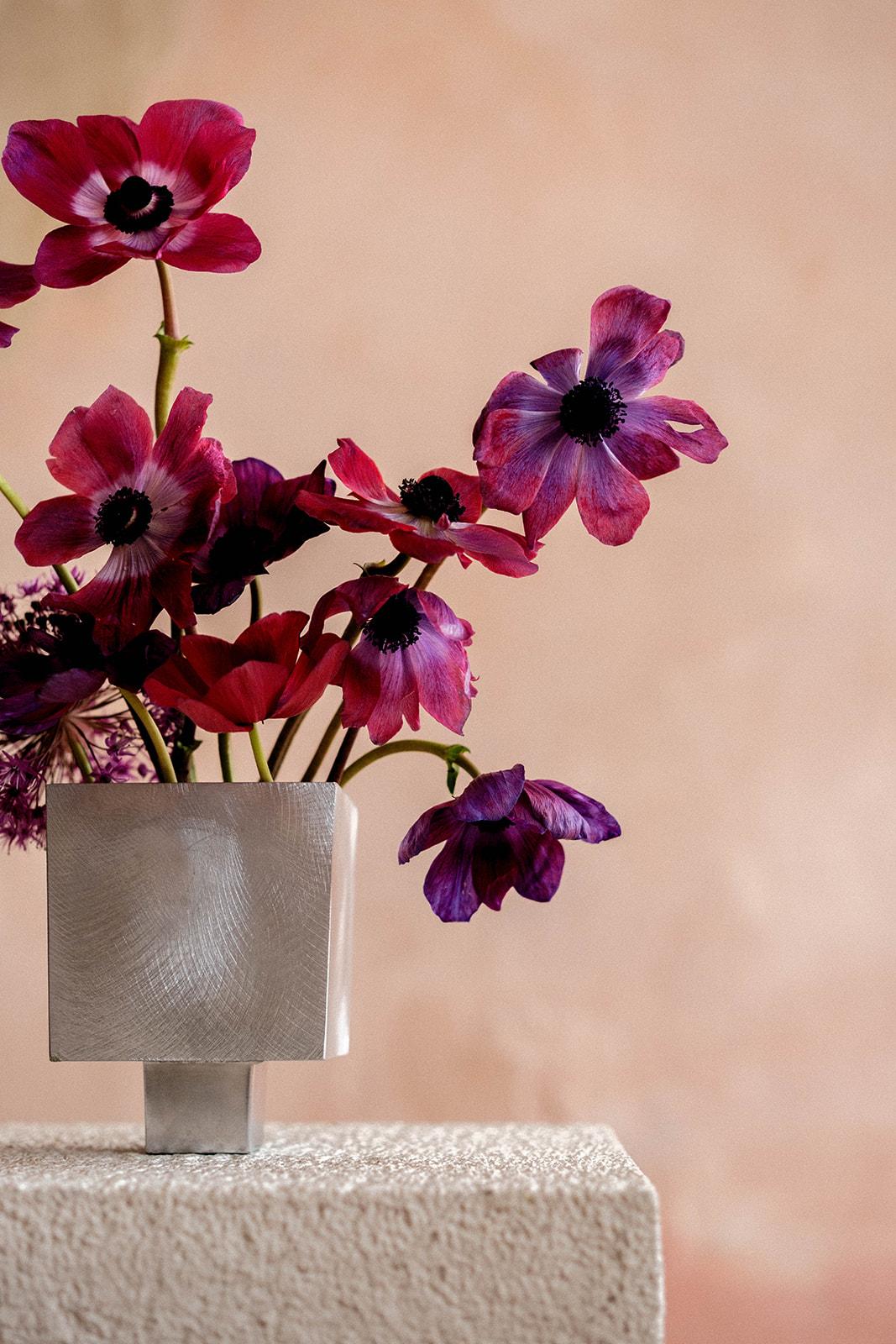 Violet anemones, close and velvet