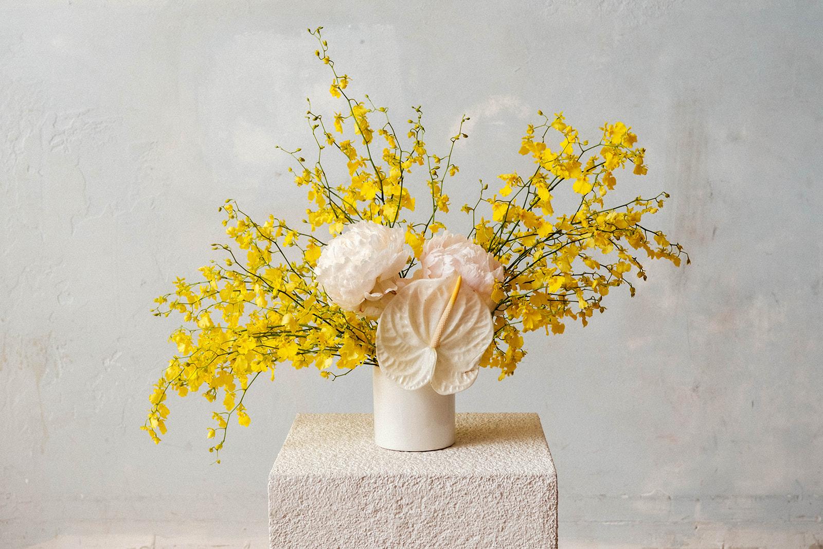Dancing-lady orchid arcing around two cream peonies